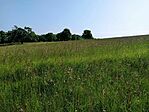 IMG_20230526_092757