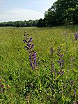 IMG_20230526_095240
