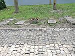 IMG20230514101454