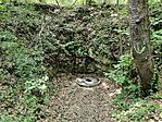 IMG20230520144411