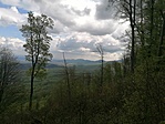 IMG_20230430_113408
