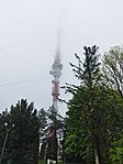 IMG_20230513_102727