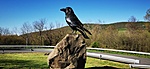 IMG_20230430_084616