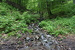 DSC03300