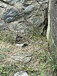 IMG_1570