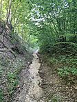 IMG_8416