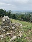 IMG_8679