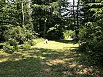 IMG_5735