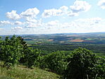 DSC07918