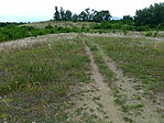 IMG_20230604_170136_161