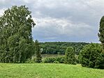 IMG_9440