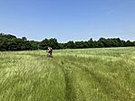 IMG_9512