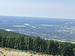 IMG_9706