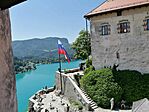 Bled1