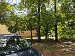 IMG_20230614_122010