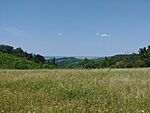 IMG_20230619_121817
