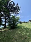 IMG_5363