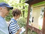 IMG_20230618_104100