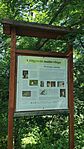 IMG_20230602_094652