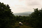 IMG_9591