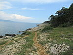 IMG_0667