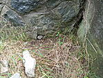 IMG_20230622_122918_2
