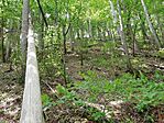 IMG_20230527_105020