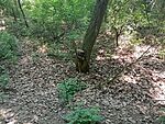 IMG_20230528_124520511_MFNR