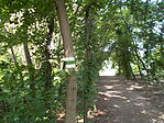 Tisza-Maros sétány
