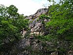 IMG_20230611_170539