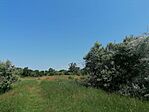 IMG_20230604_105106