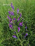 IMG_20230604_125109