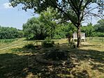 IMG_20230621_122518