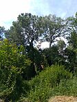 IMG_20230617_142823