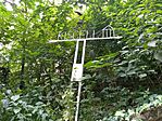 IMG_20230629_125406