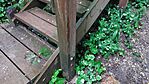 20230609_074325