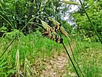 IMG_20230604_125834