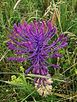 IMG_20230604_151609