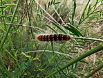 IMG_20230604_152536