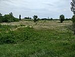 IMG20230604150415