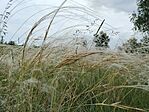 IMG20230604150701