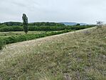 IMG20230604152227