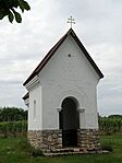 P5299483