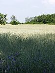 IMG_20230602_163228
