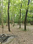IMG_20230602_174455