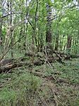 IMG_20230602_175105