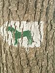 IMG_20230603_102530