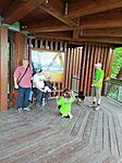 IMG_20230604_123857