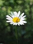 P6030811