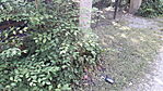 20230617_090817